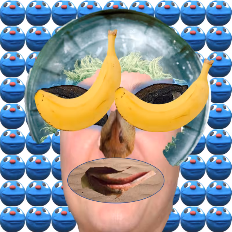 A collage of collages #645