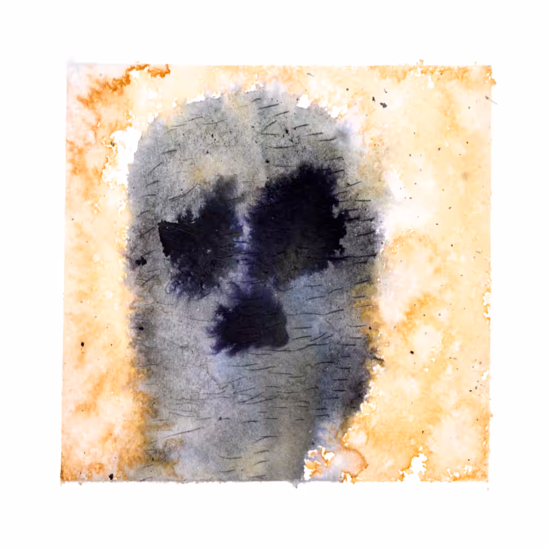 CryptoStain054