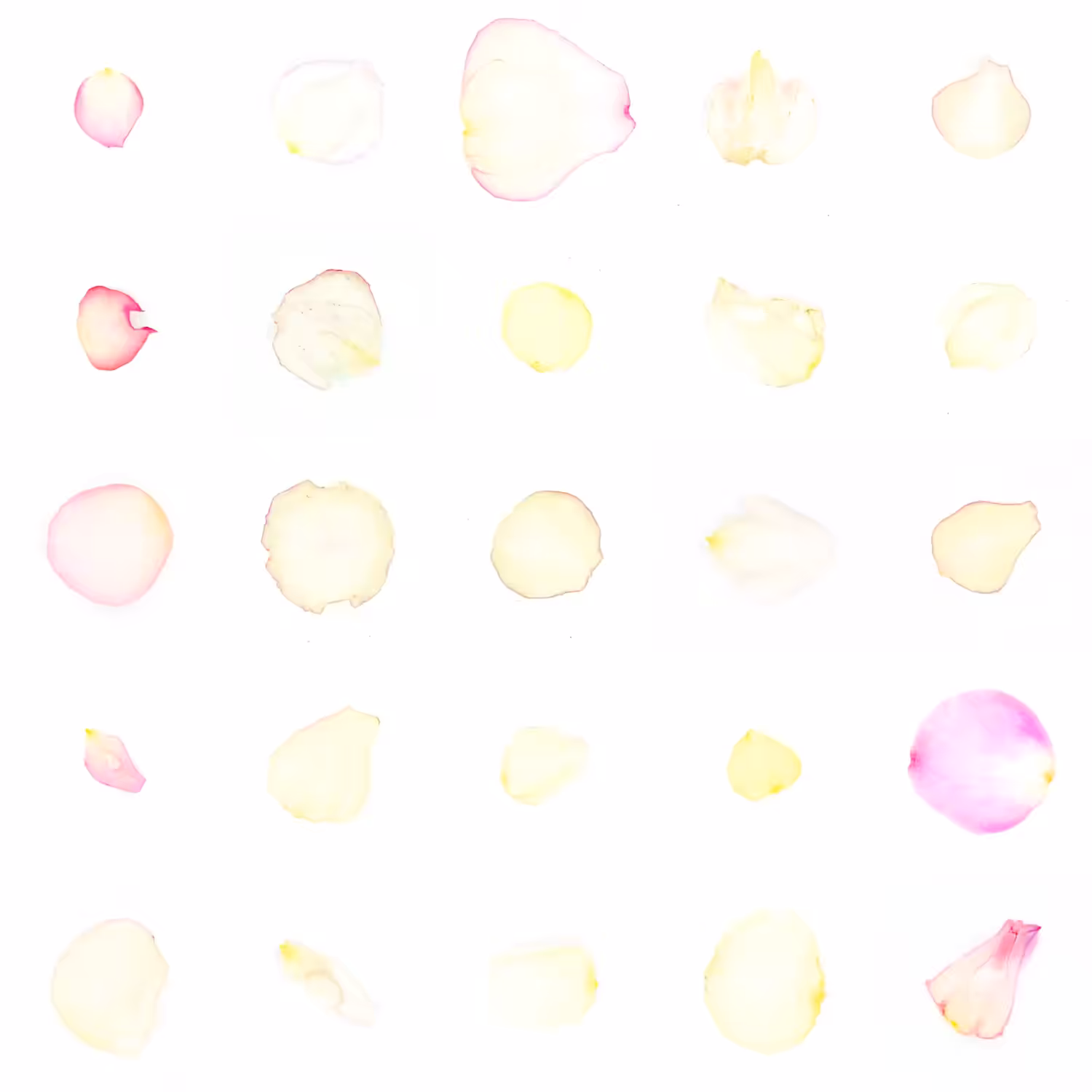 Infinite Petals 5x5#20503