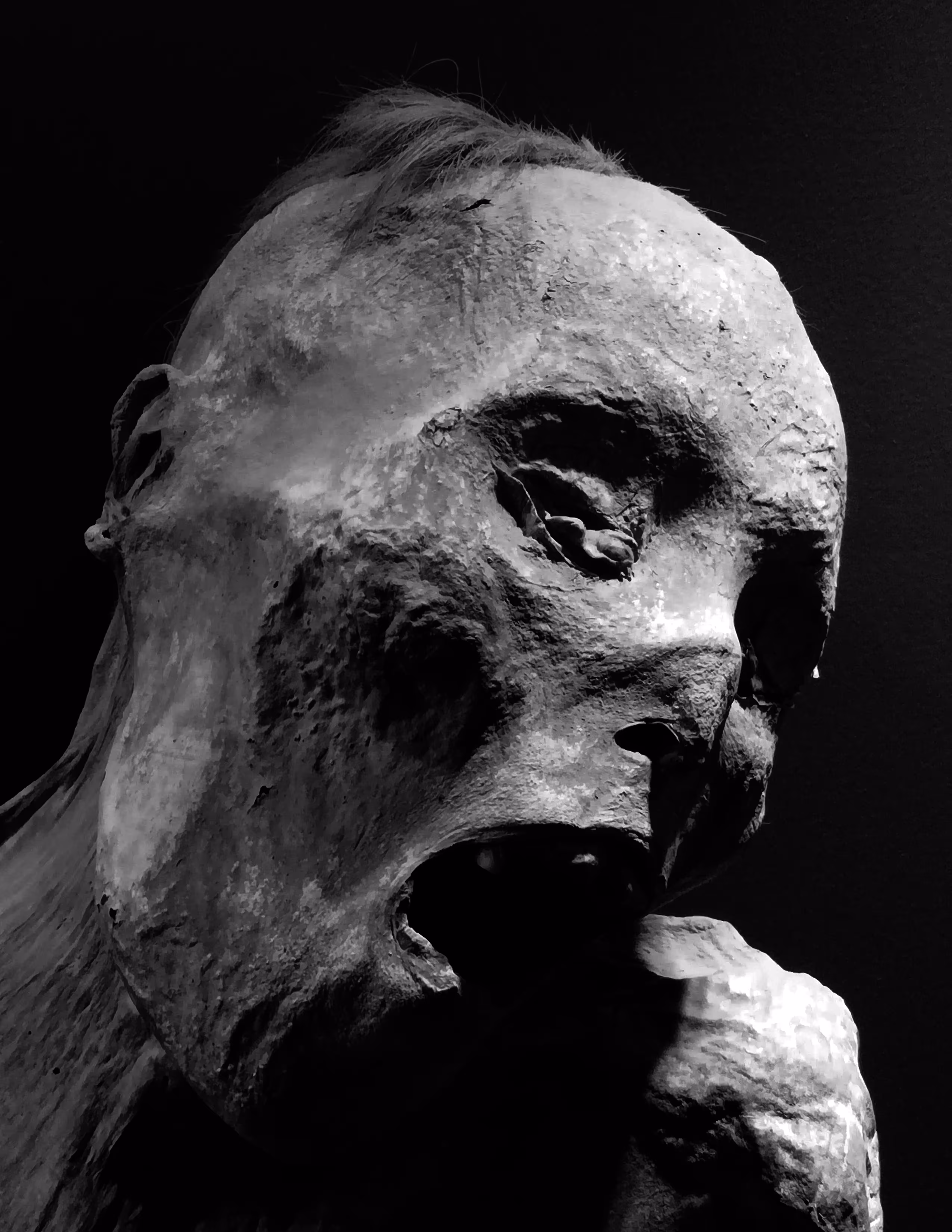 crocodile tears | larmes de crocodile | lagrimas de cocodrilo