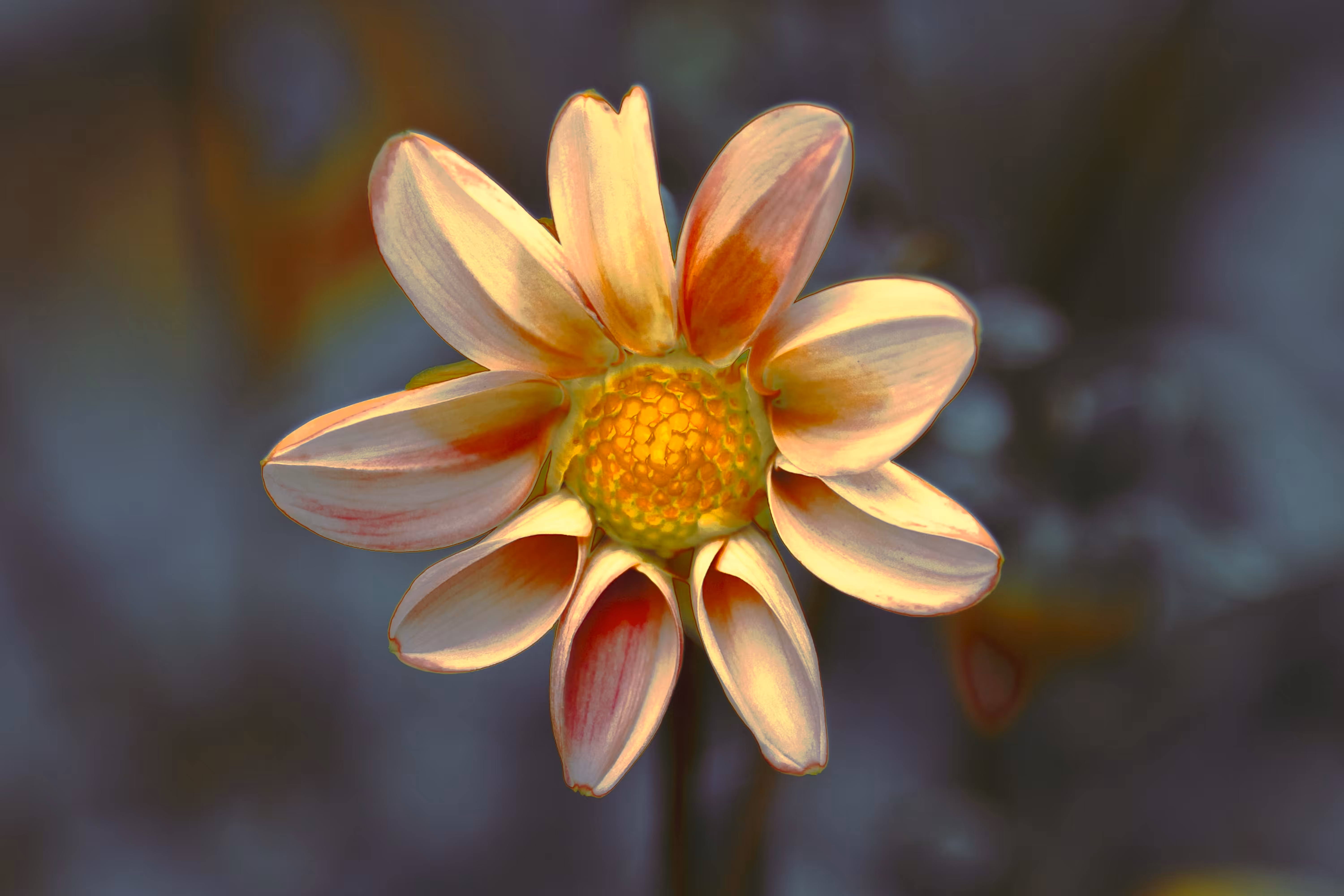 The Garden: CALYRA