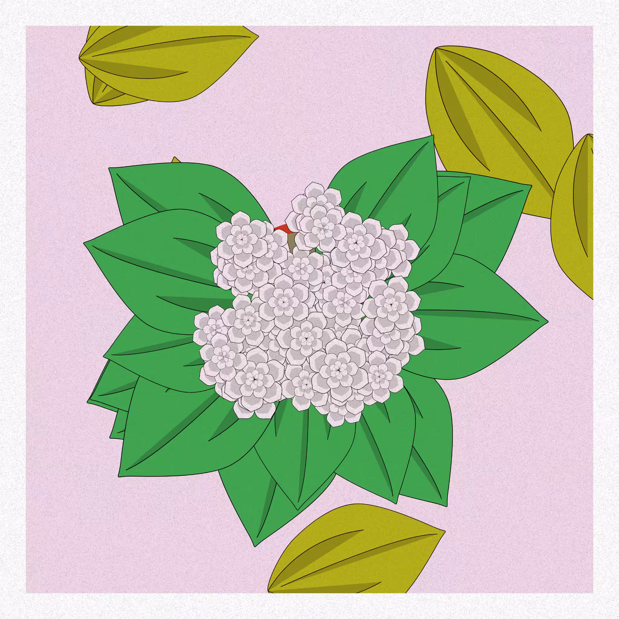Flowers #141
