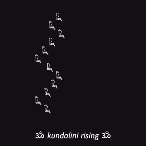     
         𓆗 
  ...