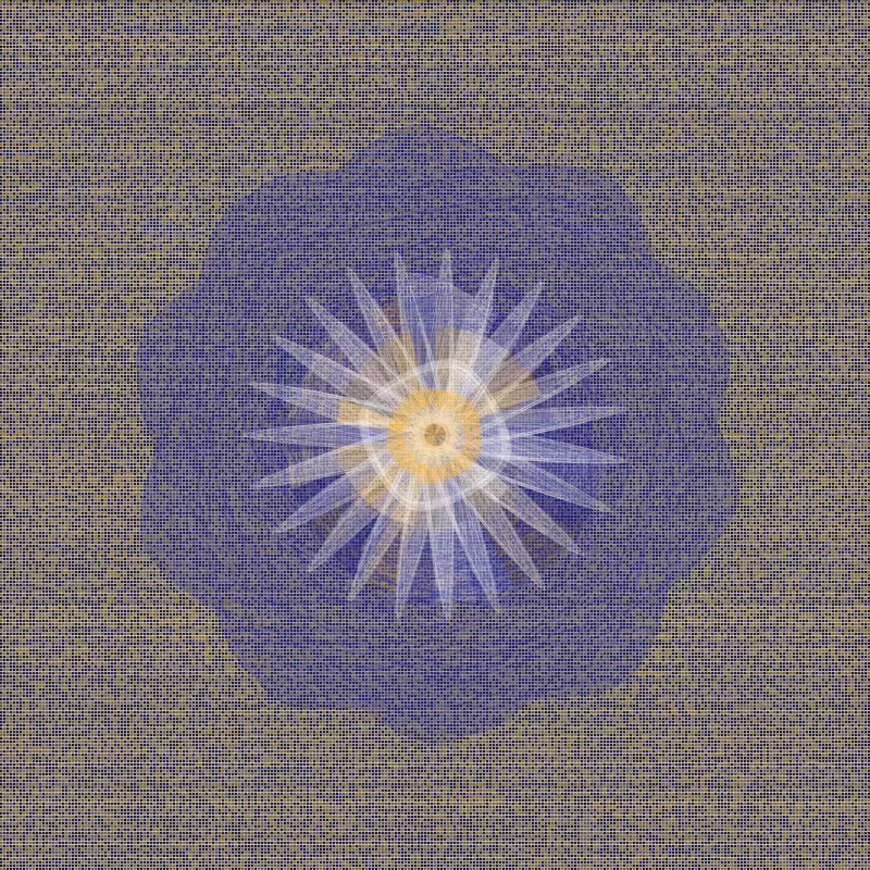 polygonal warp #6