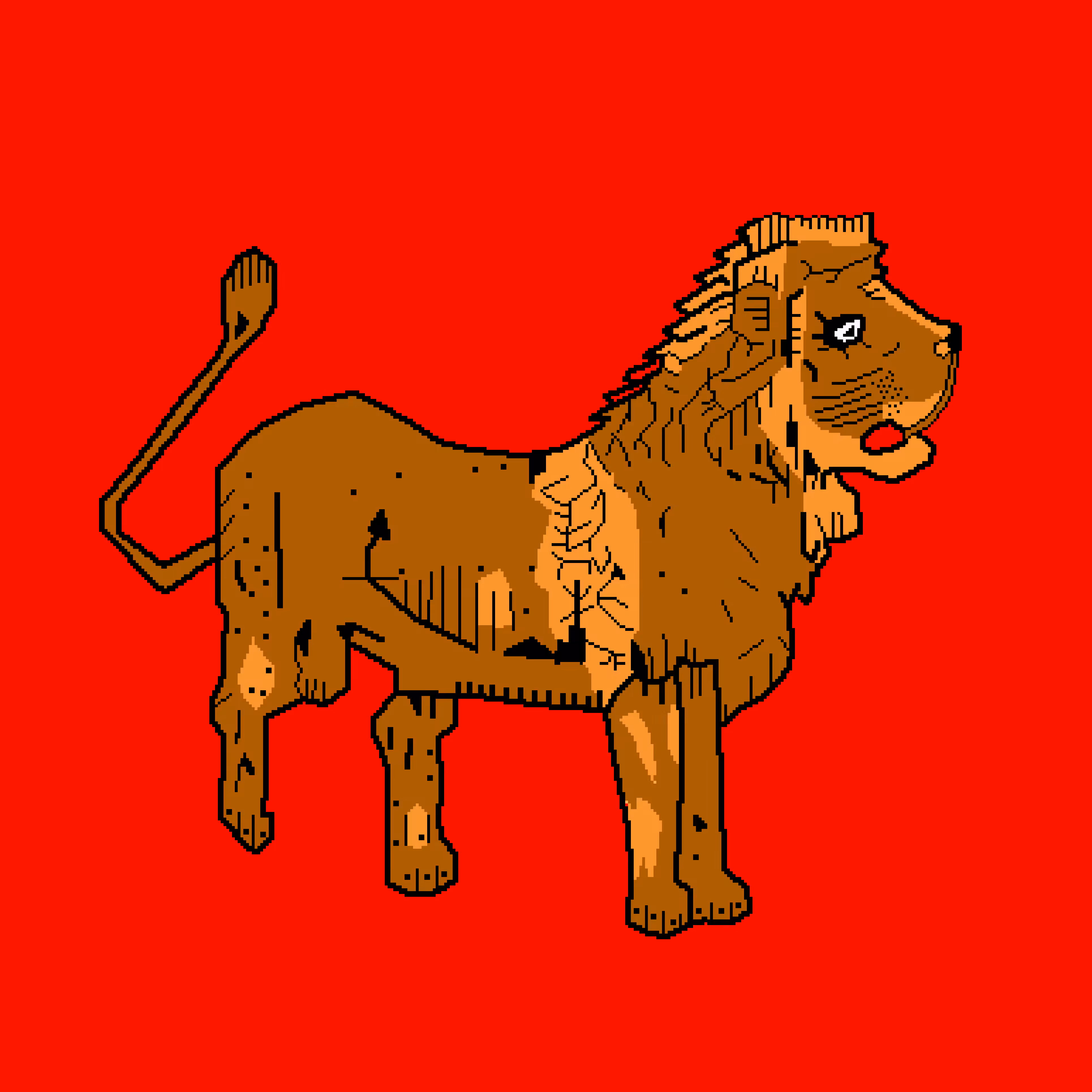 Lion Rug #8