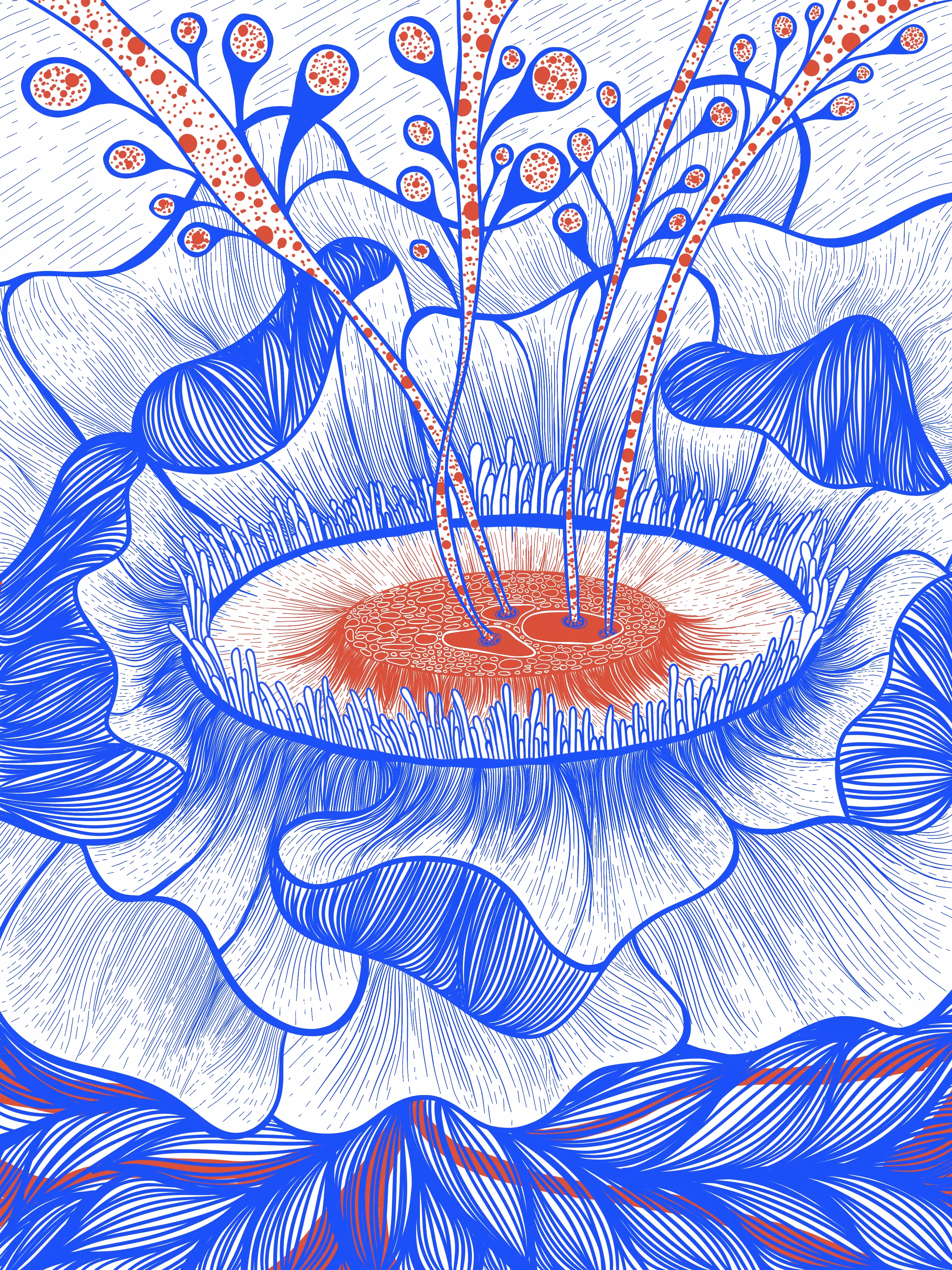 ฺBlooming Flower