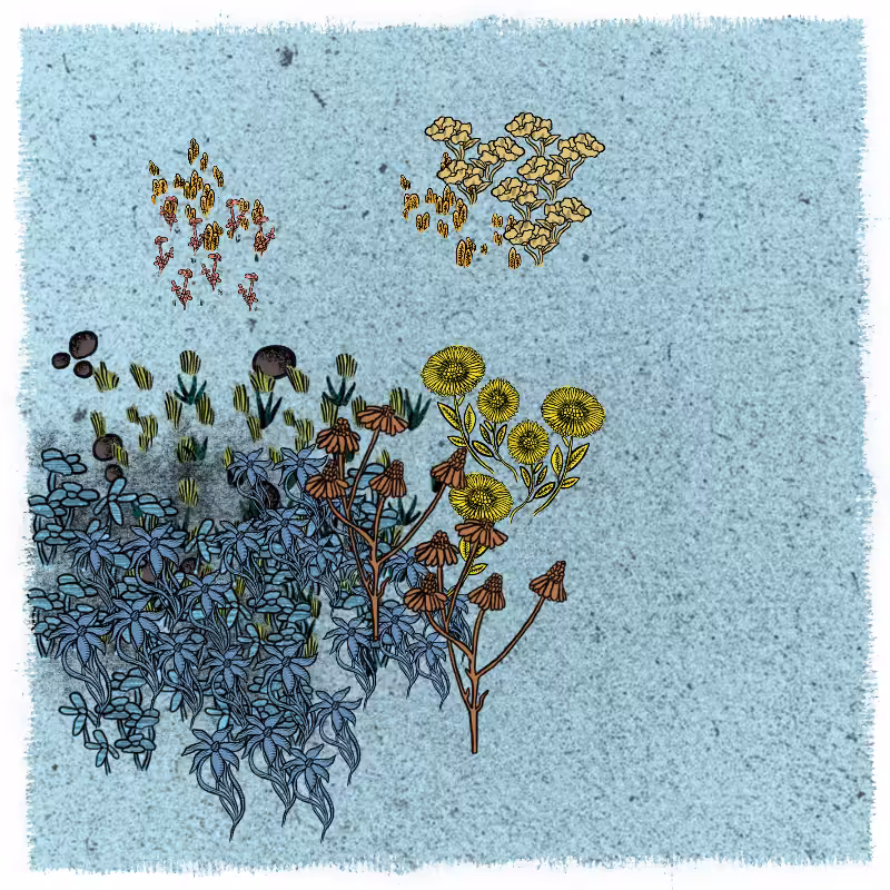 Gardens  #82
