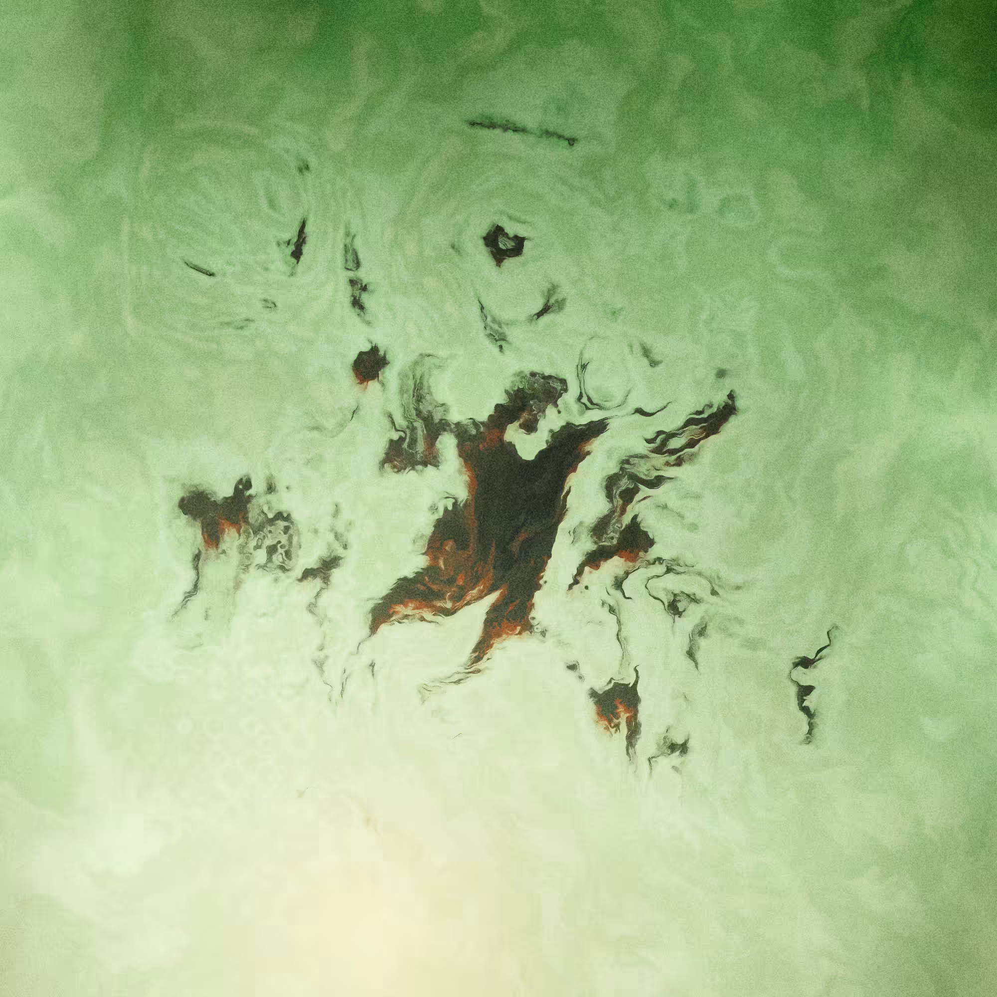 Fossilium #11