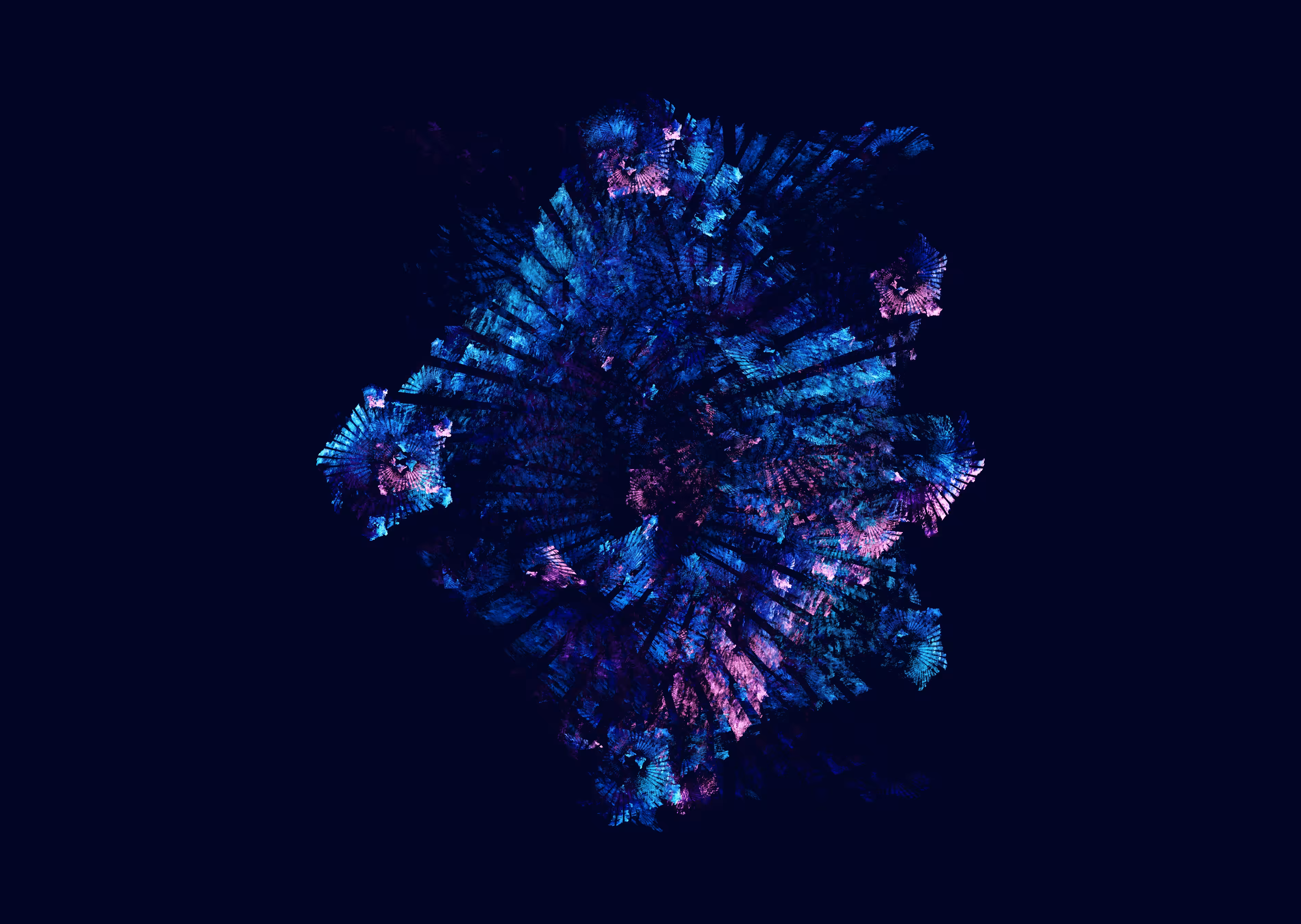 Sequence 004