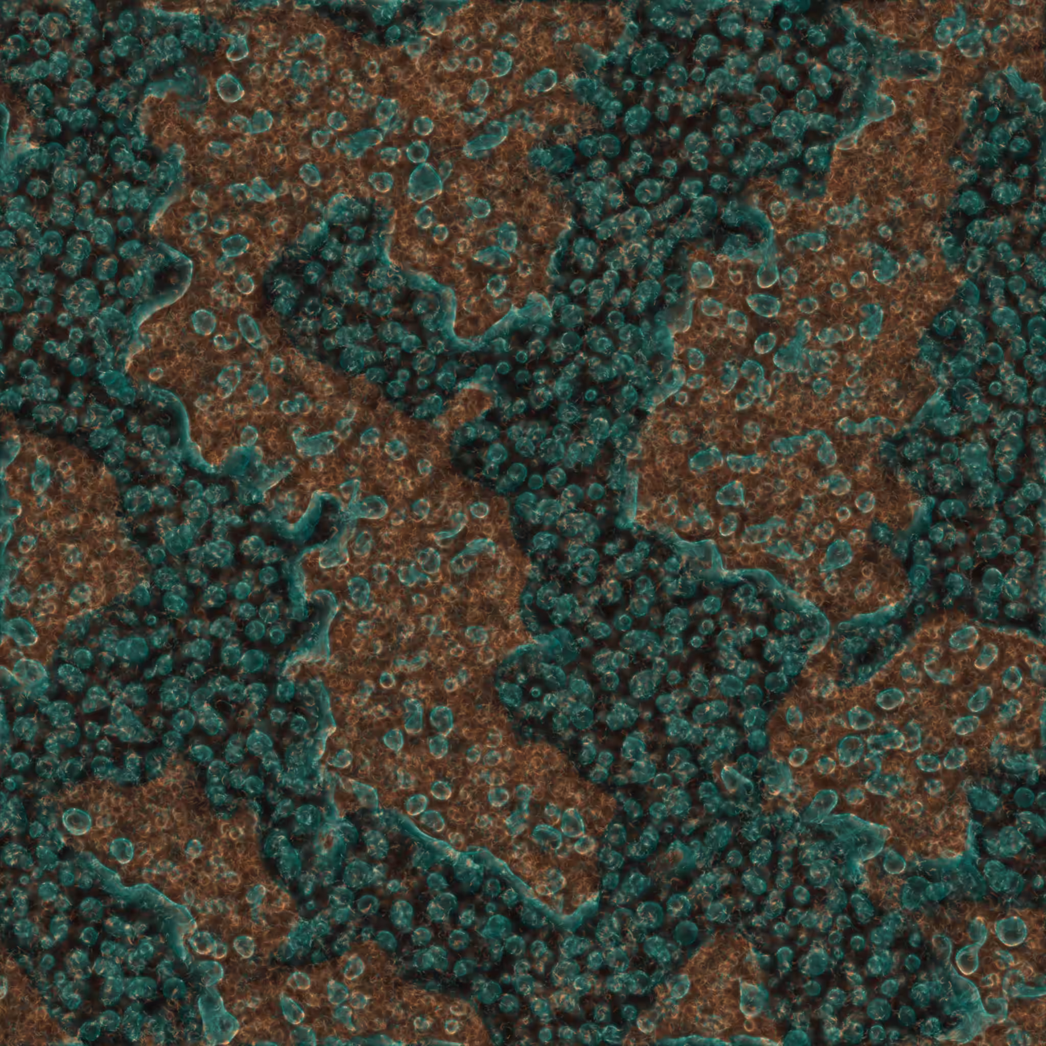 saprophyte #175