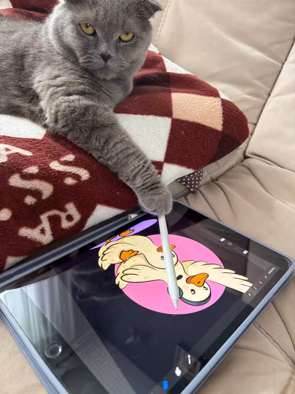 Artist