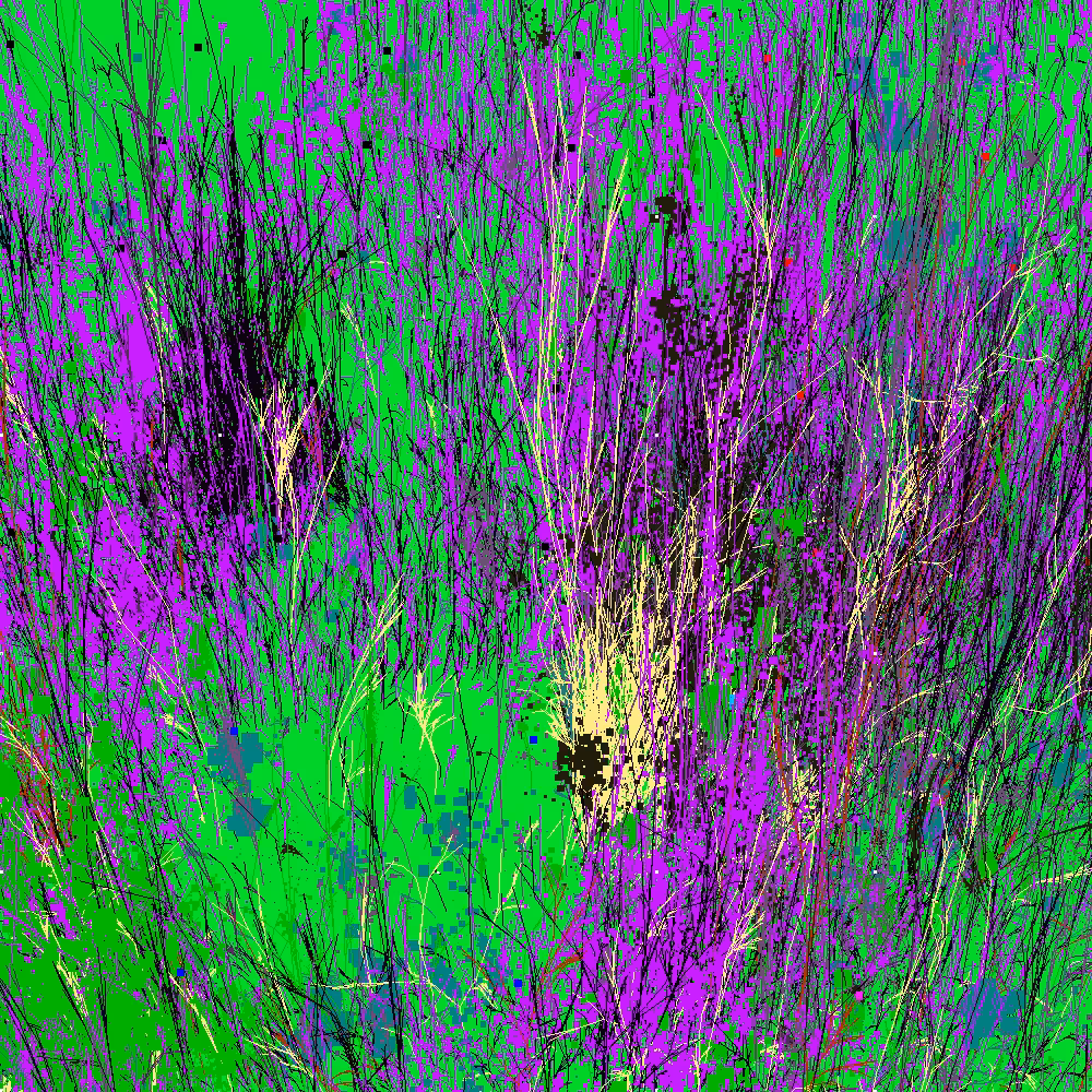Infinite Garden: 58853 Flowers