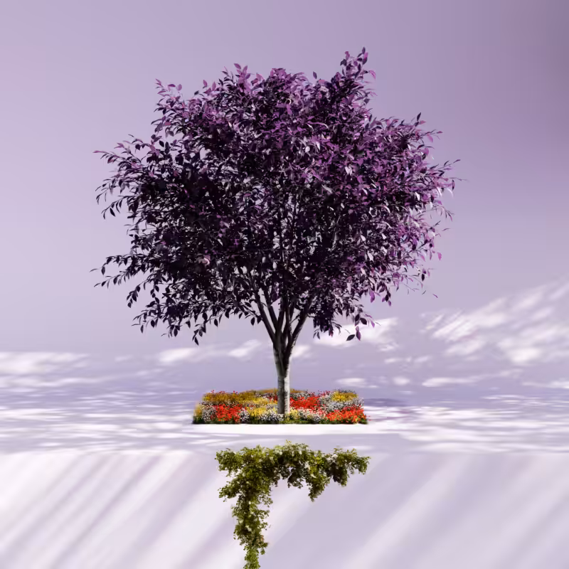 Nature rooms #6
