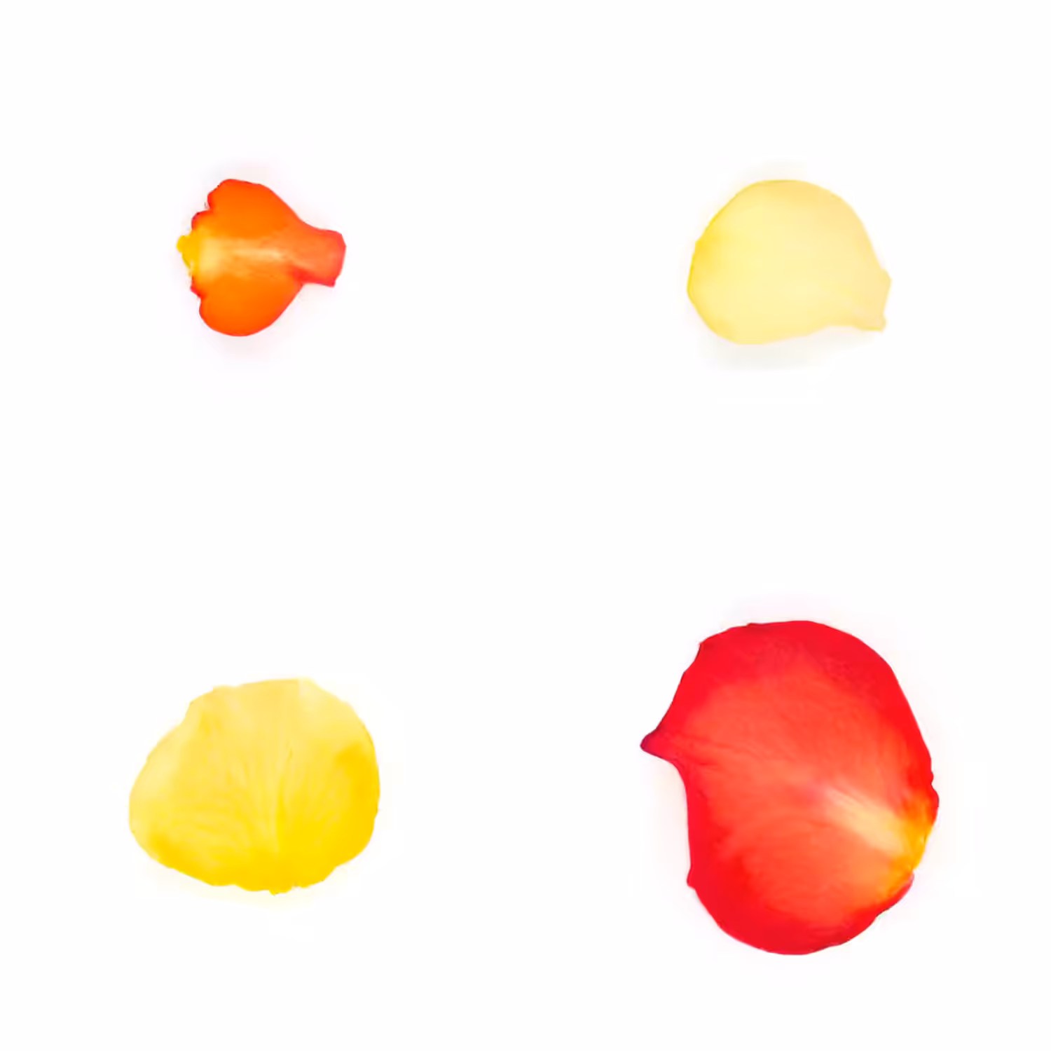 Infinite Petals 2x2#20016