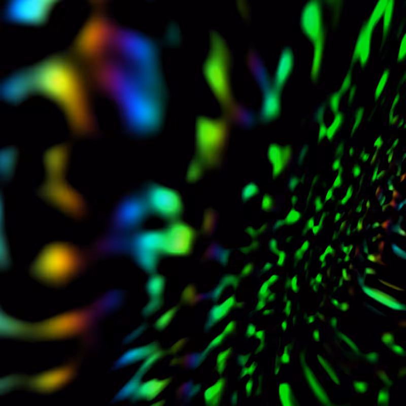 Quantum #3