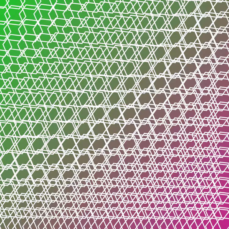bilinearInterpolationTwist #17
