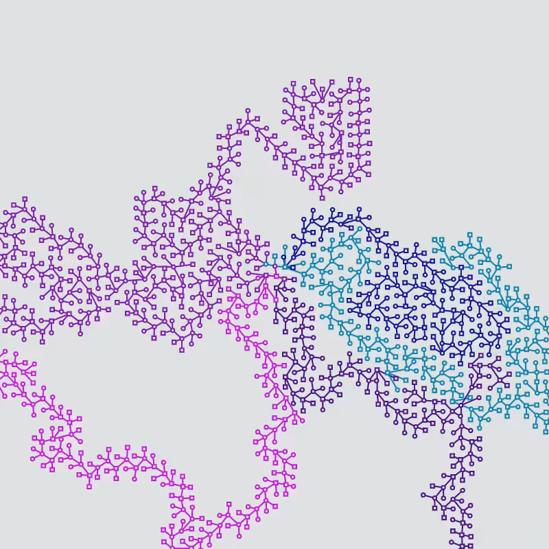 Networks #101