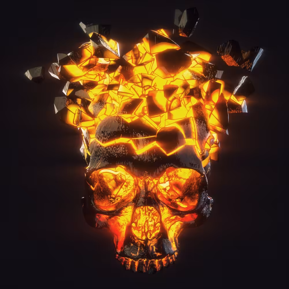 Burned Skull #2