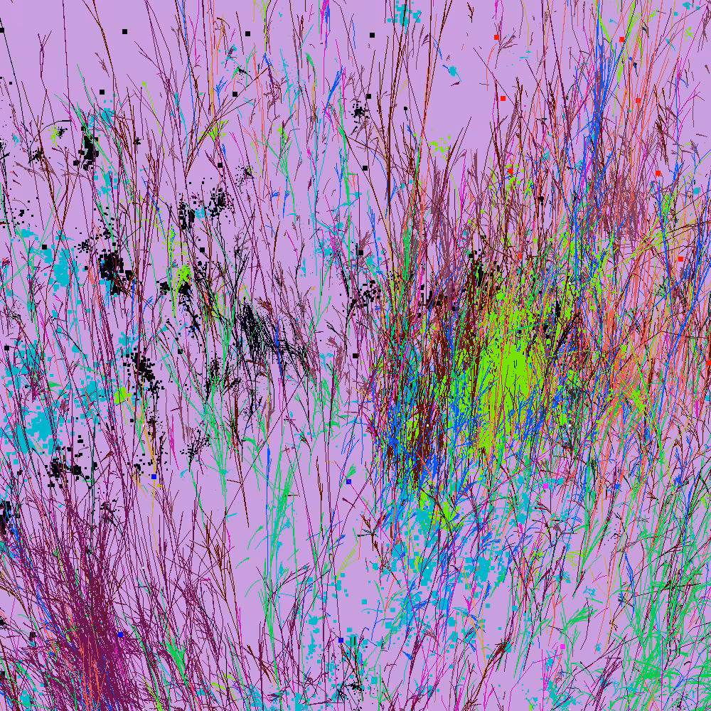 Infinite Garden: 21391 Flowers