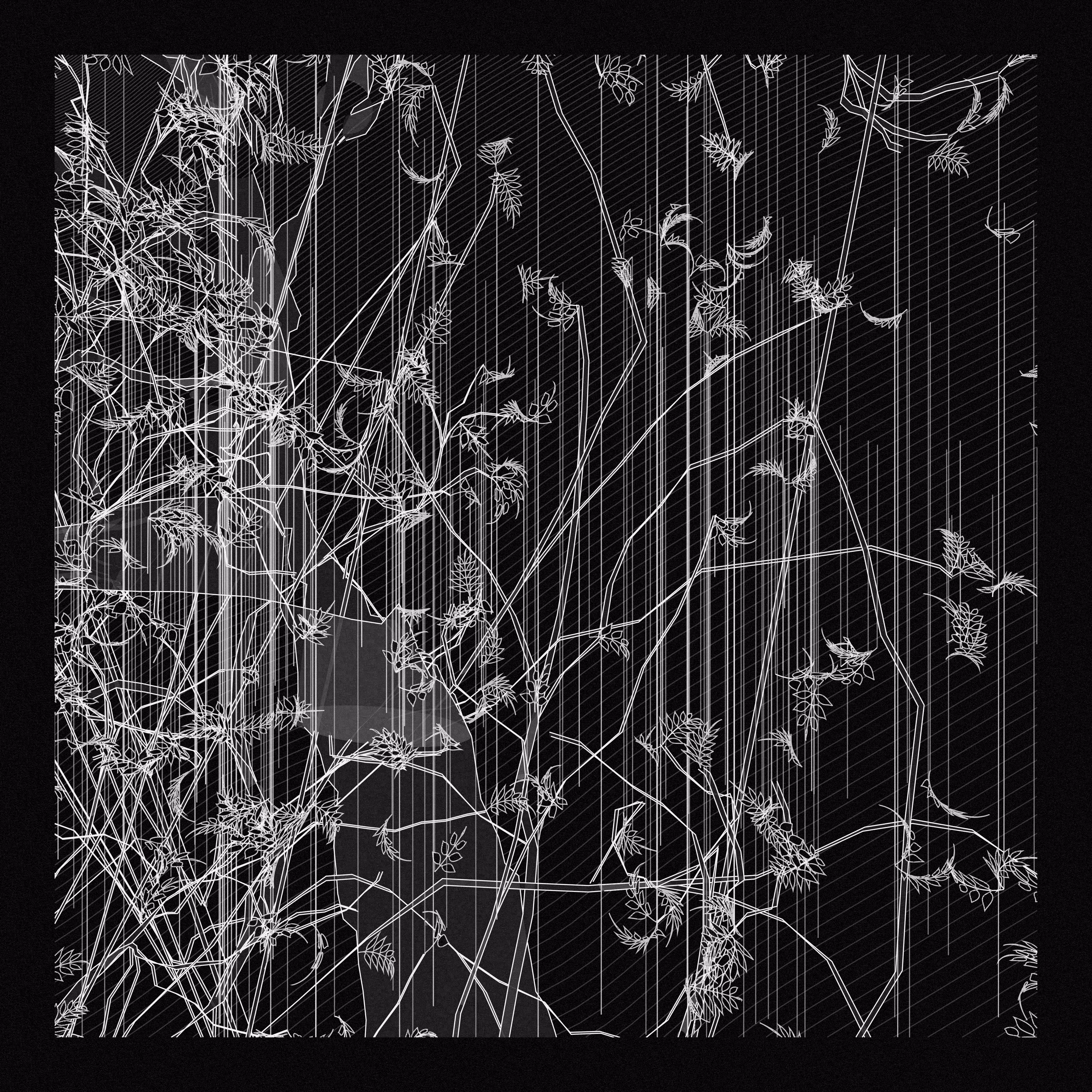 A Bugged Forest #23
