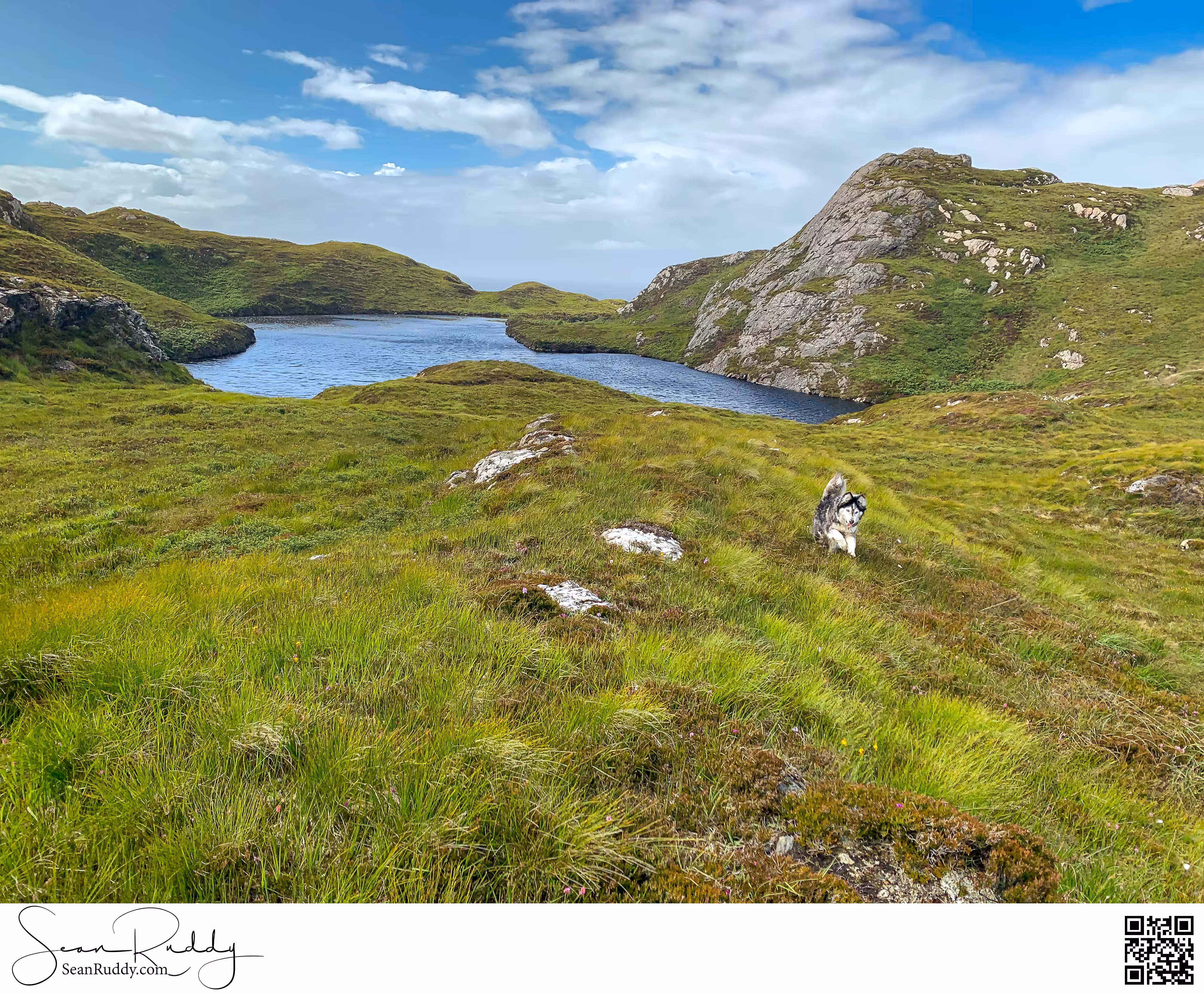 Happy in the Highlands