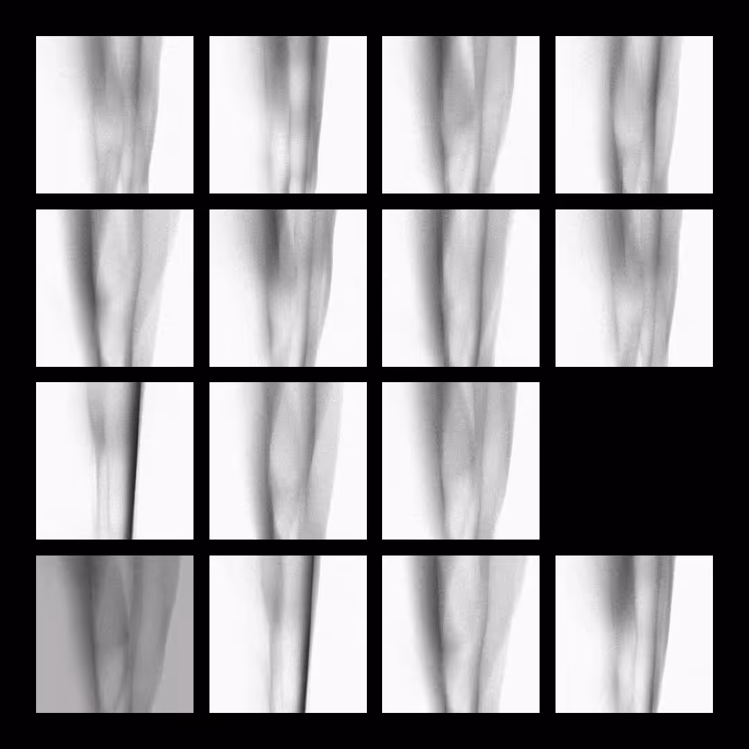 contact sheet 4  -  v i o l e n c e   [ white ed ]