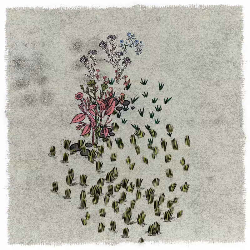 Gardens  #105