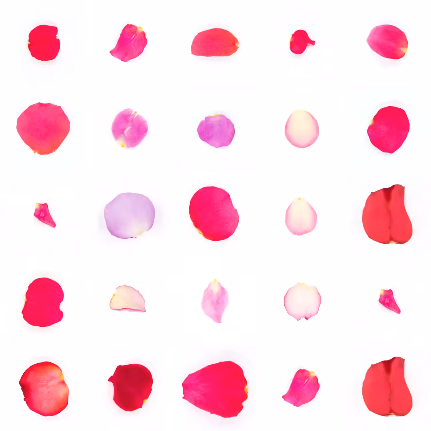 Infinite Petals 5x5#21032
