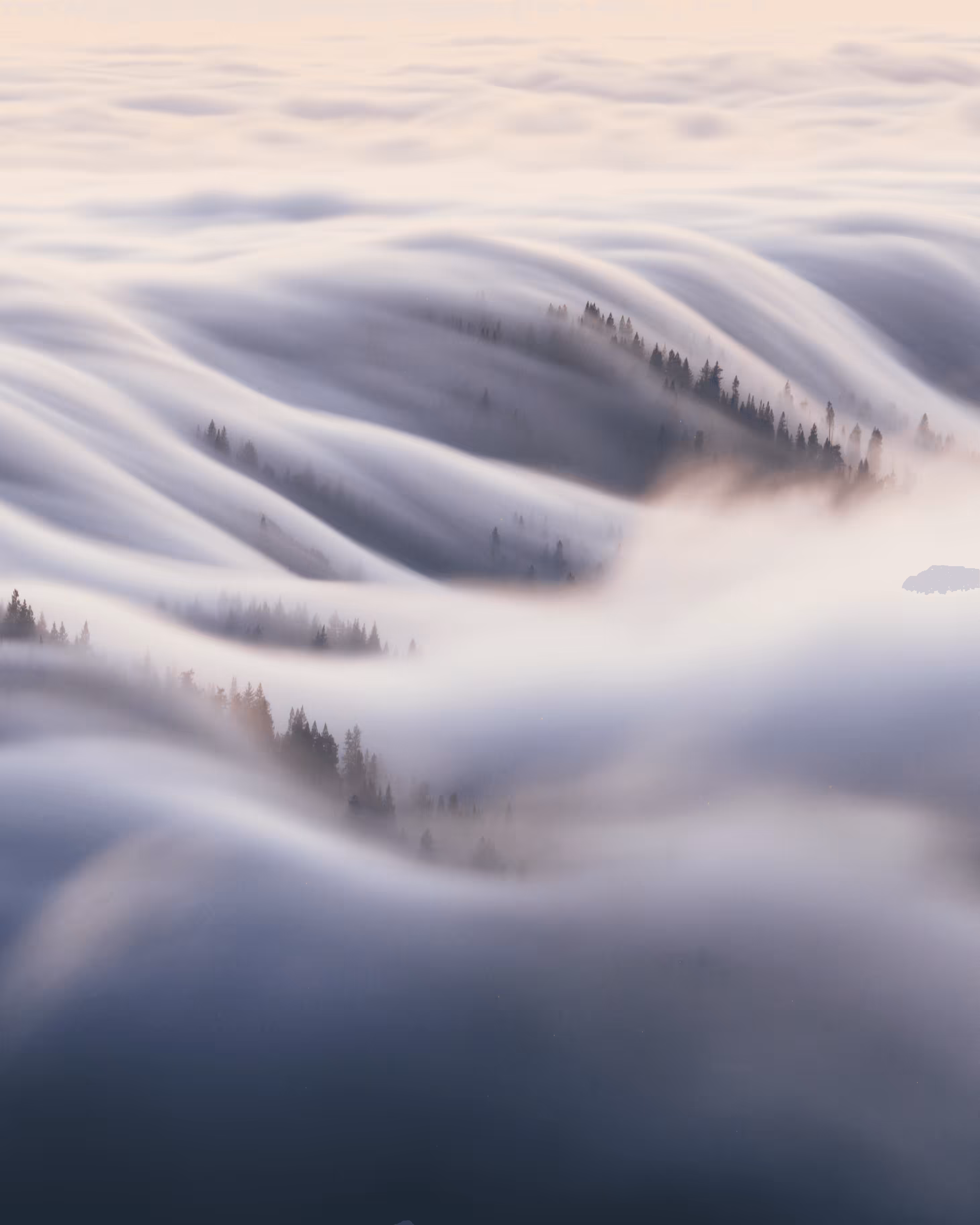 A Symphony of Fog #17