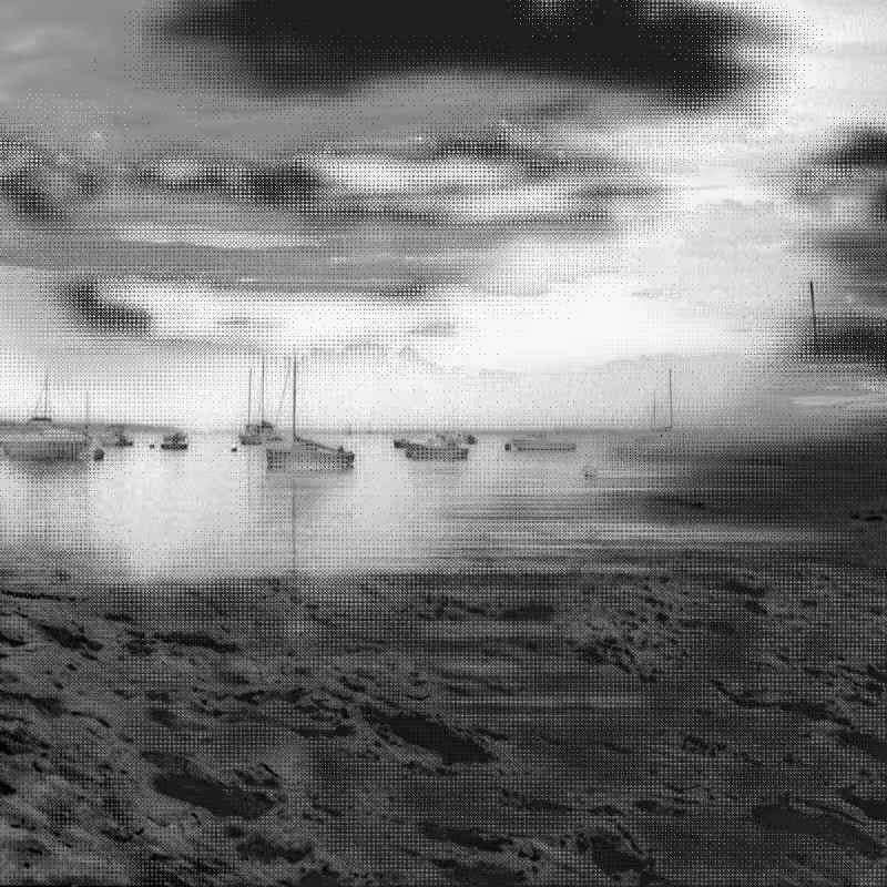 Scrambled Memories #17
