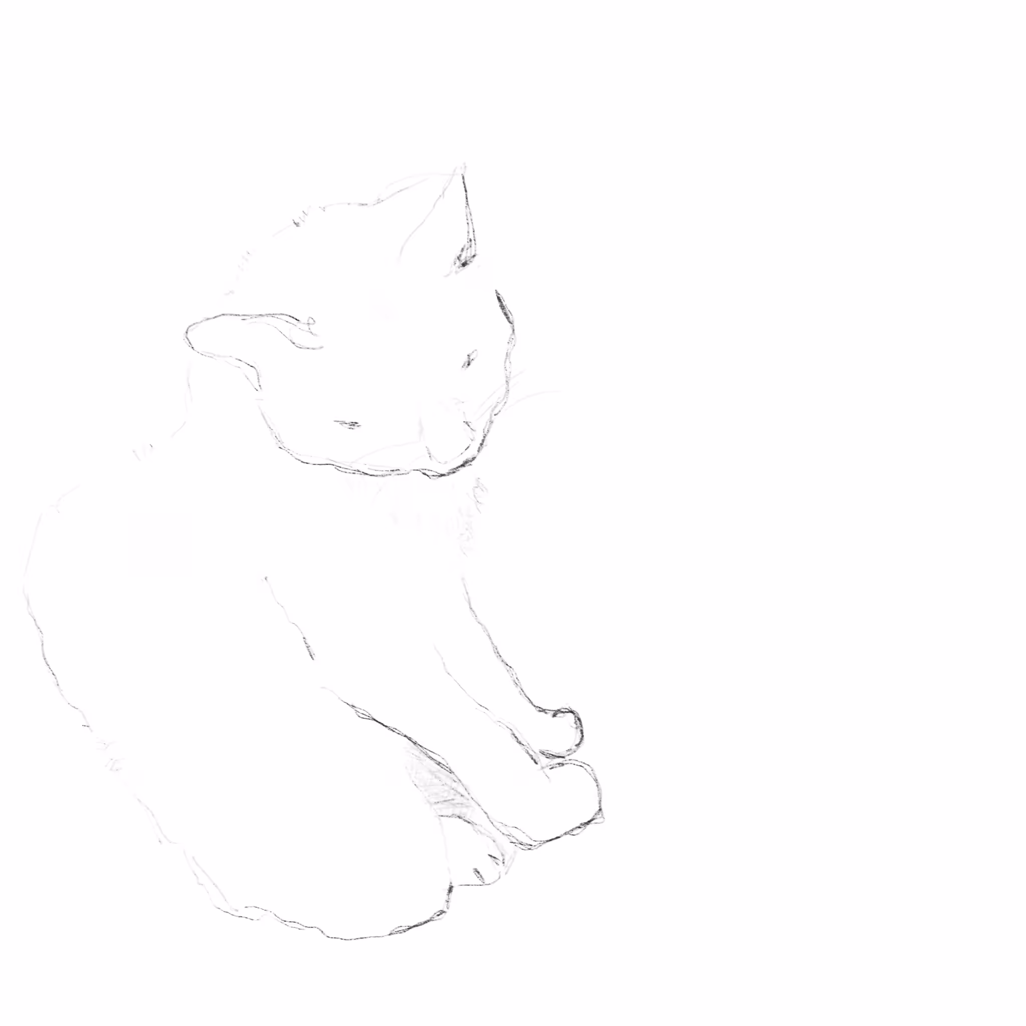 opentez sketch3