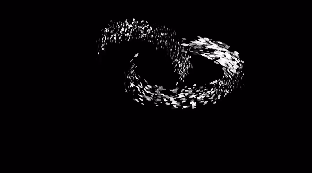 SOLO 03