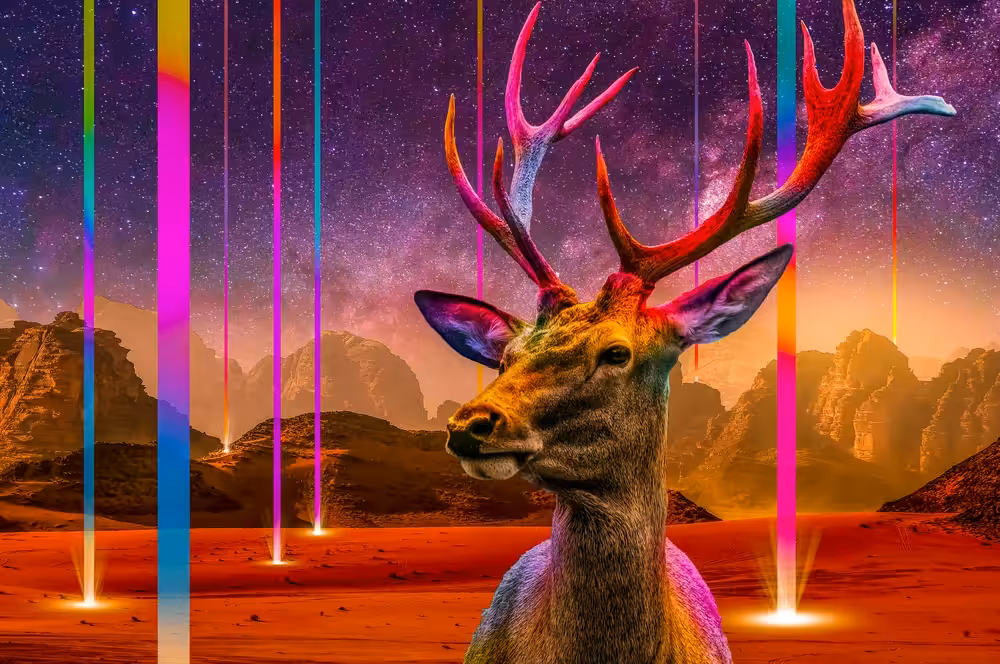 Creatures of Light