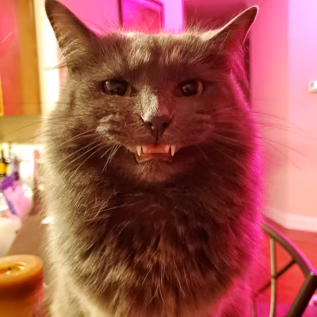 The Vengeance Demon