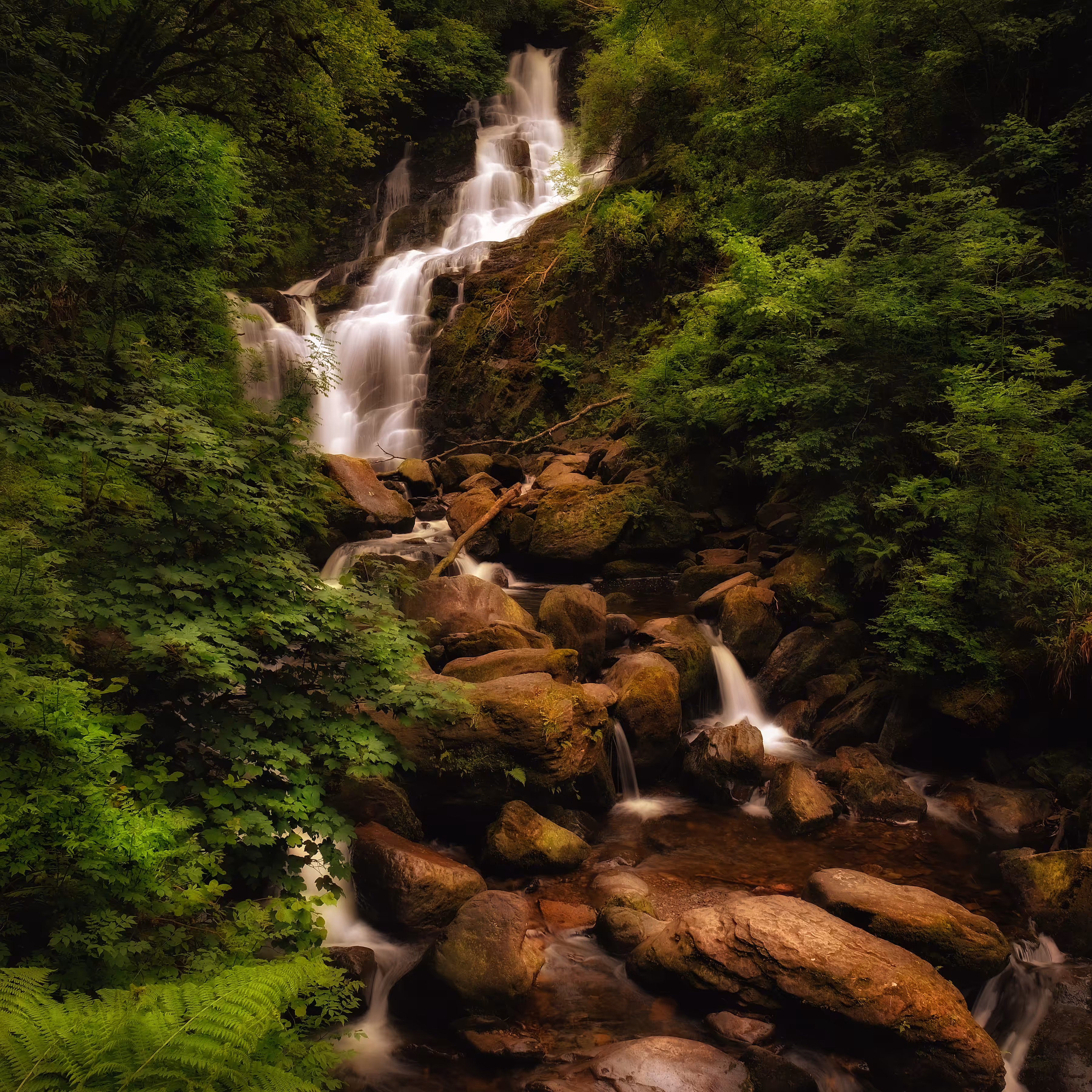 Among the greens
