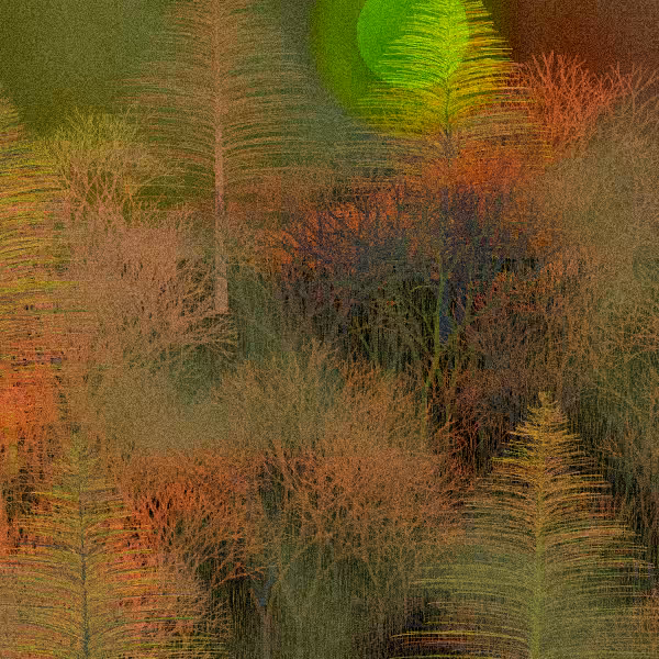 Moonlit Native Bush #15