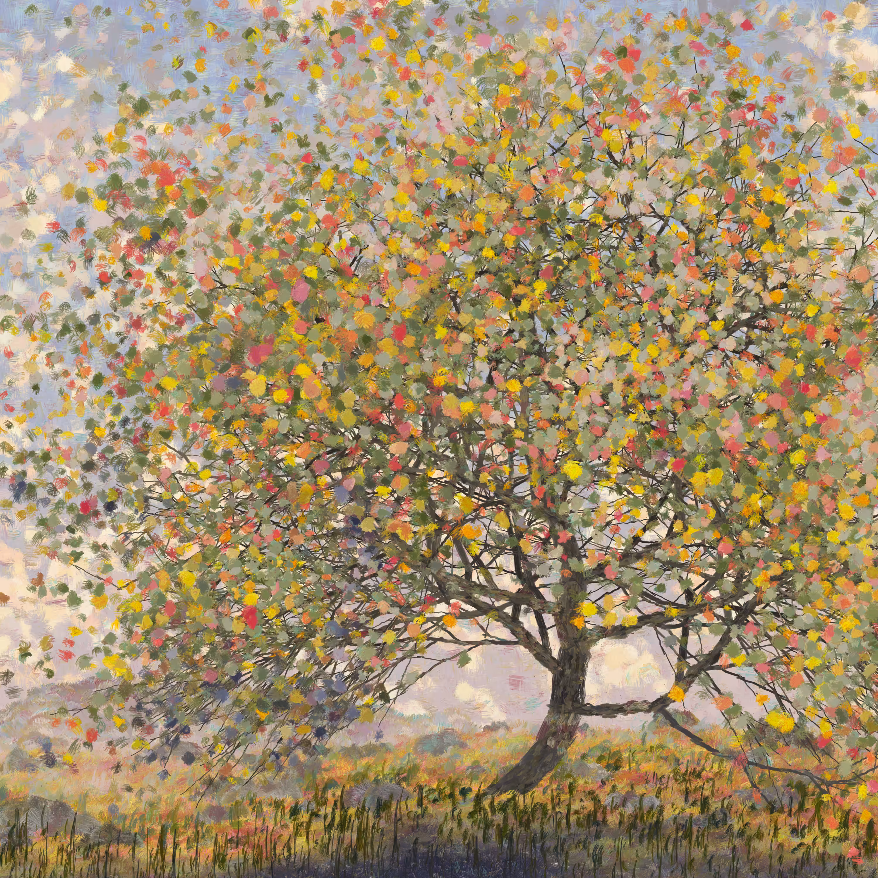 Rodeo posts: Tree in early fall