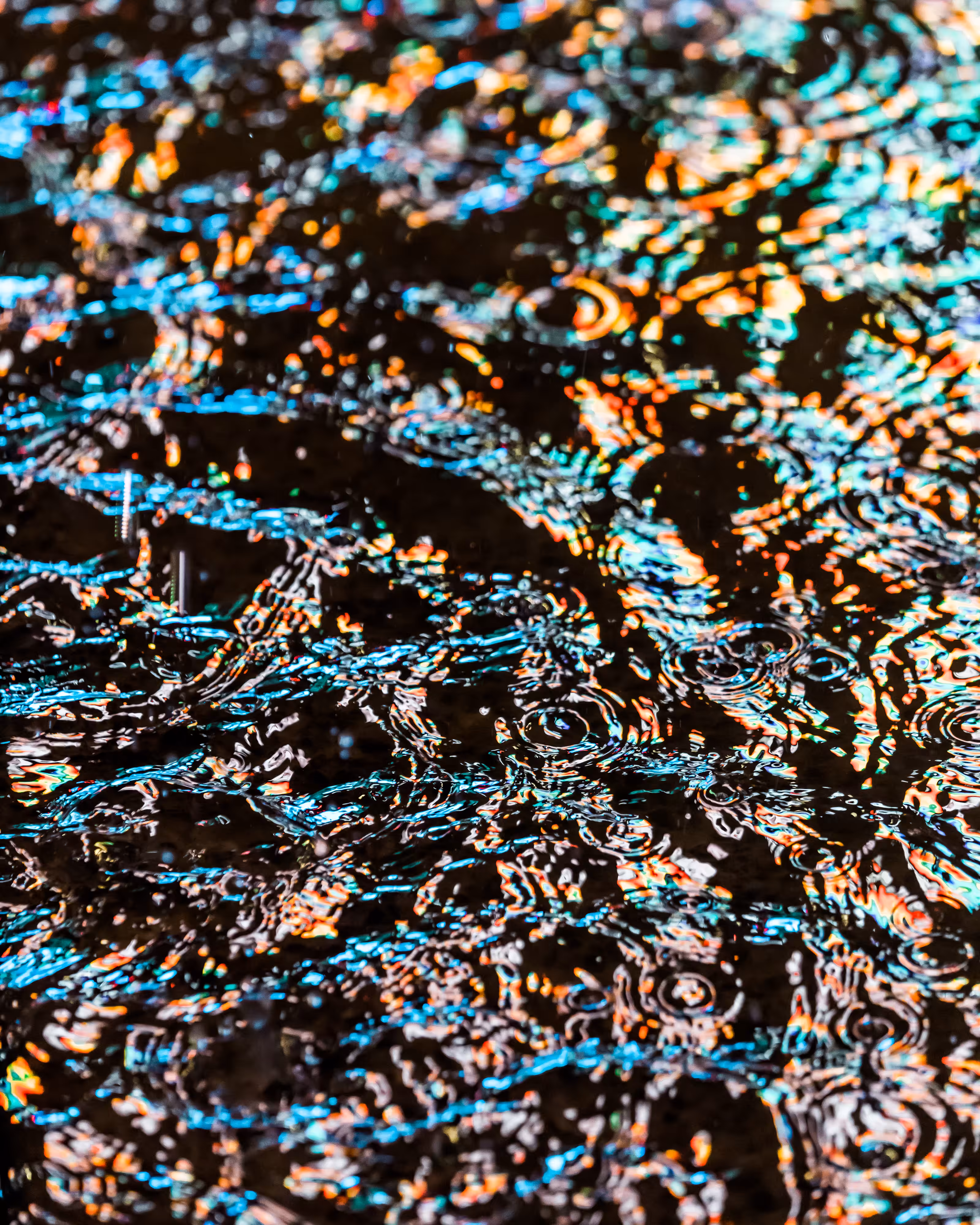 DRIP DROP: DRIP #772