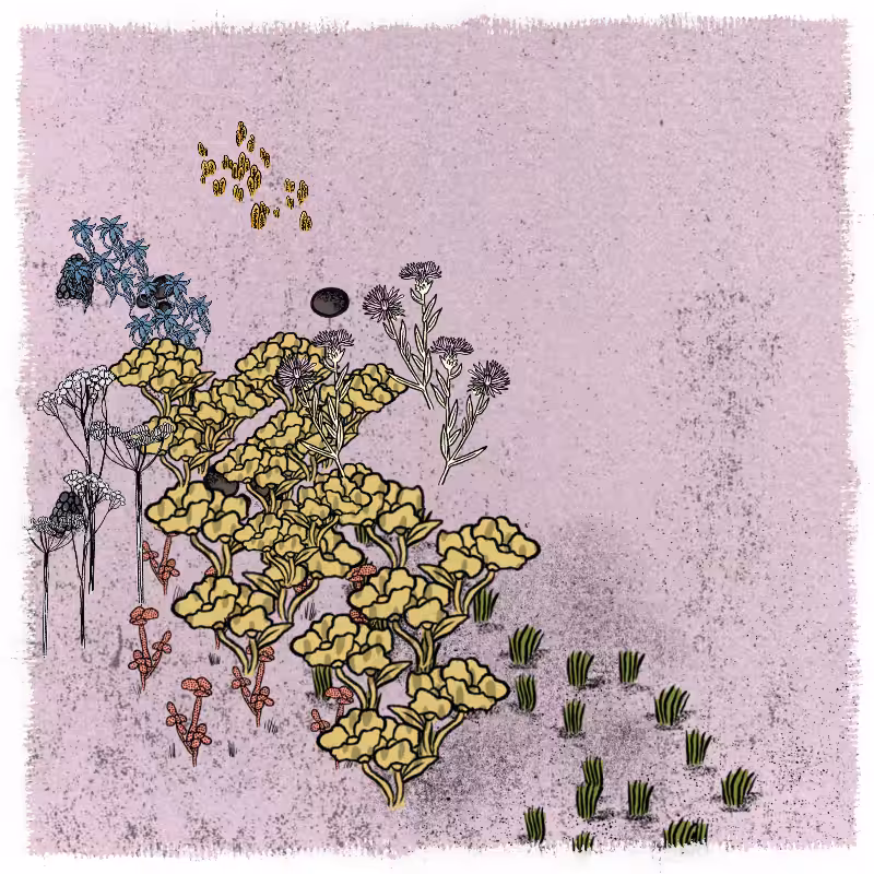 Gardens  #146