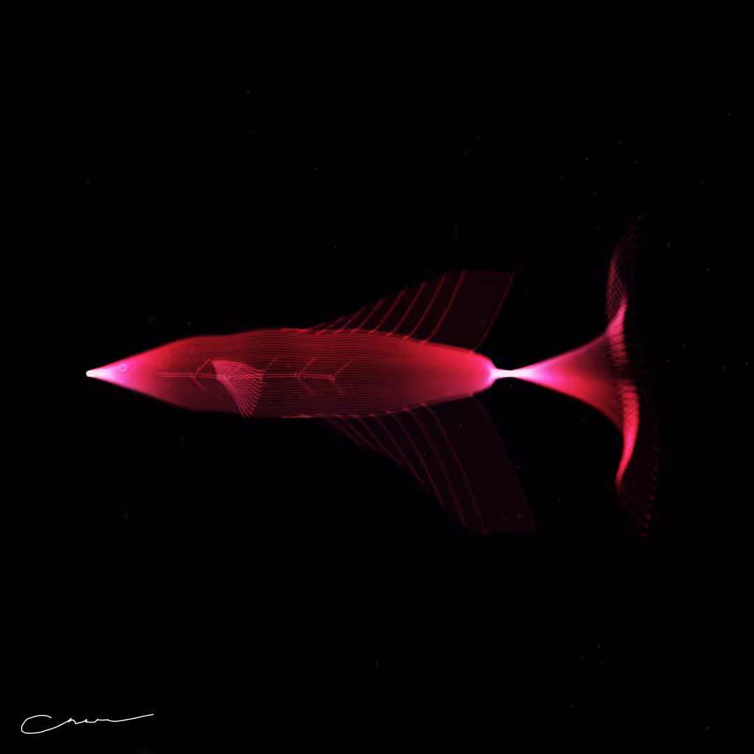 SoulFish #348