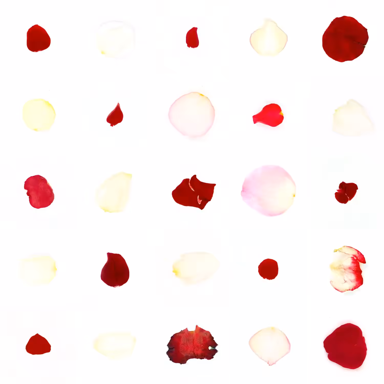 Infinite Petals 5x5#21379