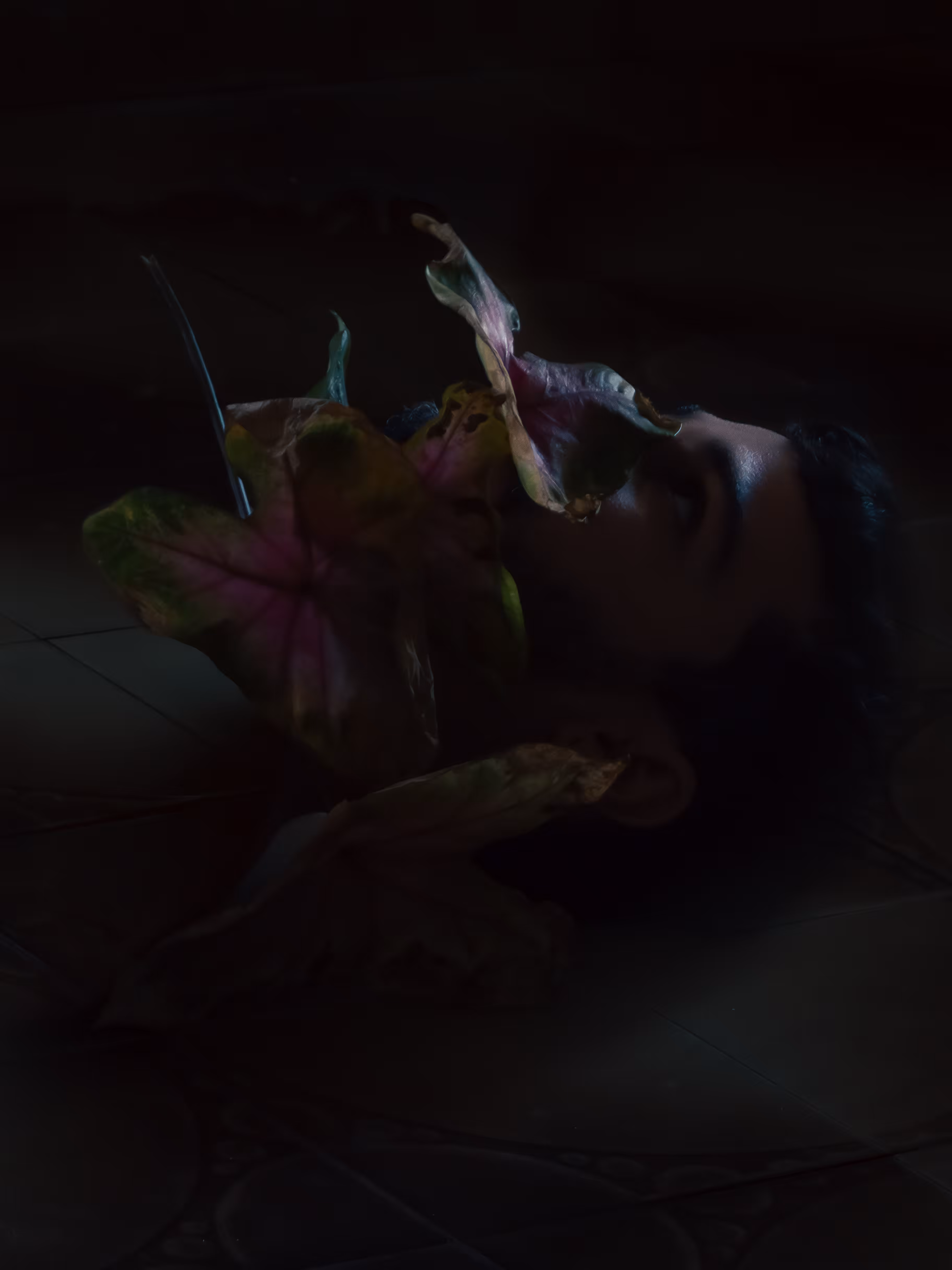 Still Life II