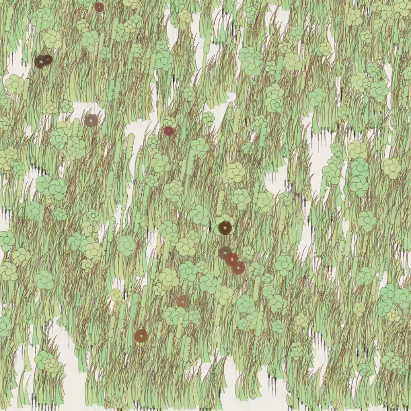 Petri 1500 #553