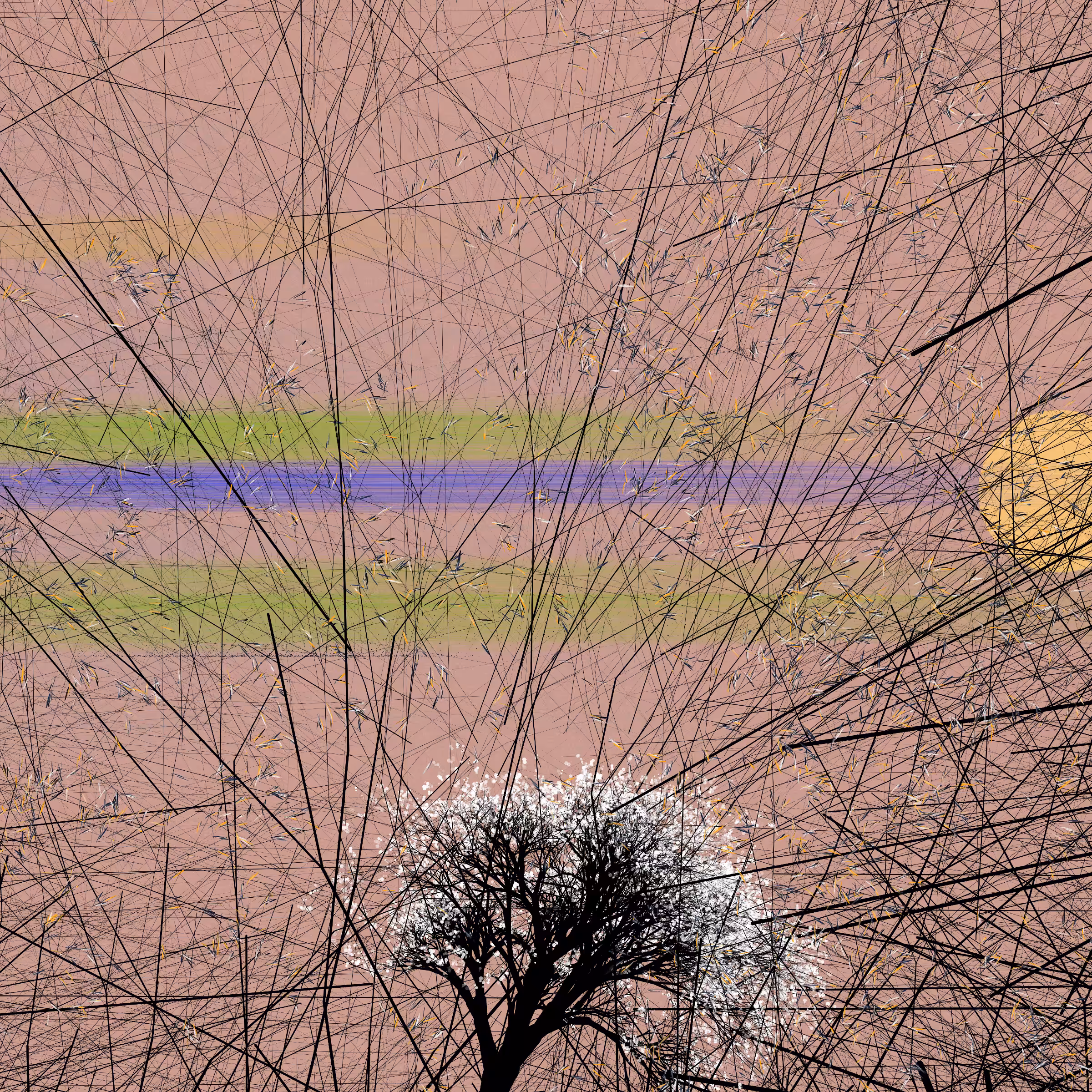 conversation with the wind #123