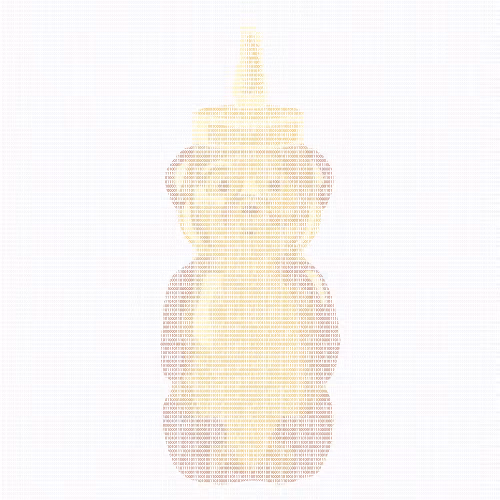 Far Out Bear