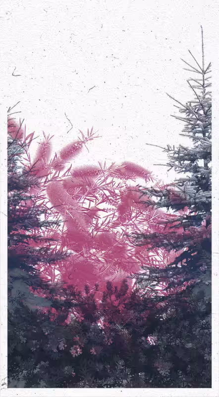 Life in the forest! #29