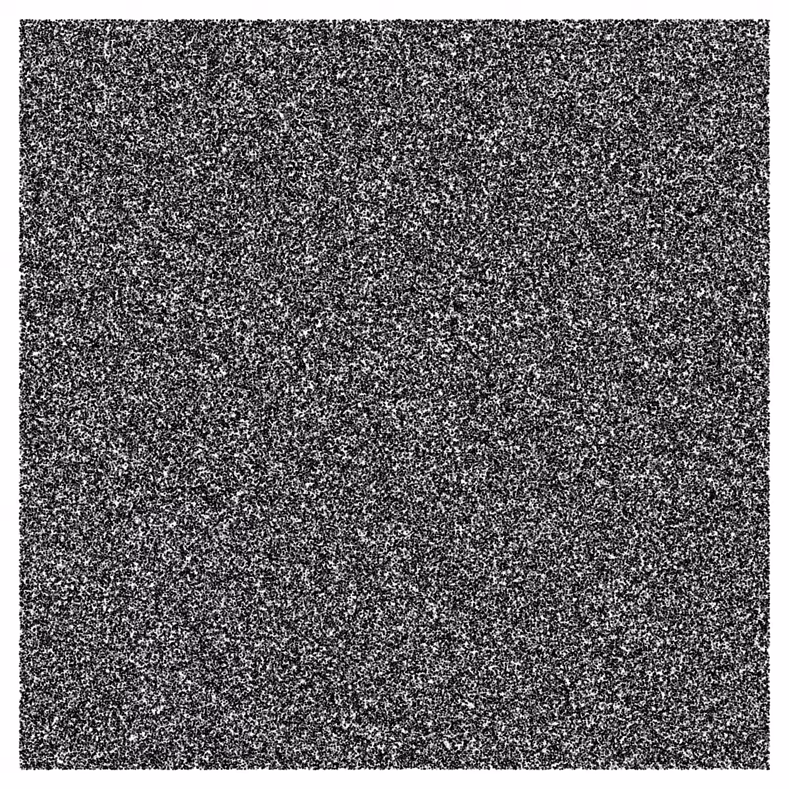 Noise #36