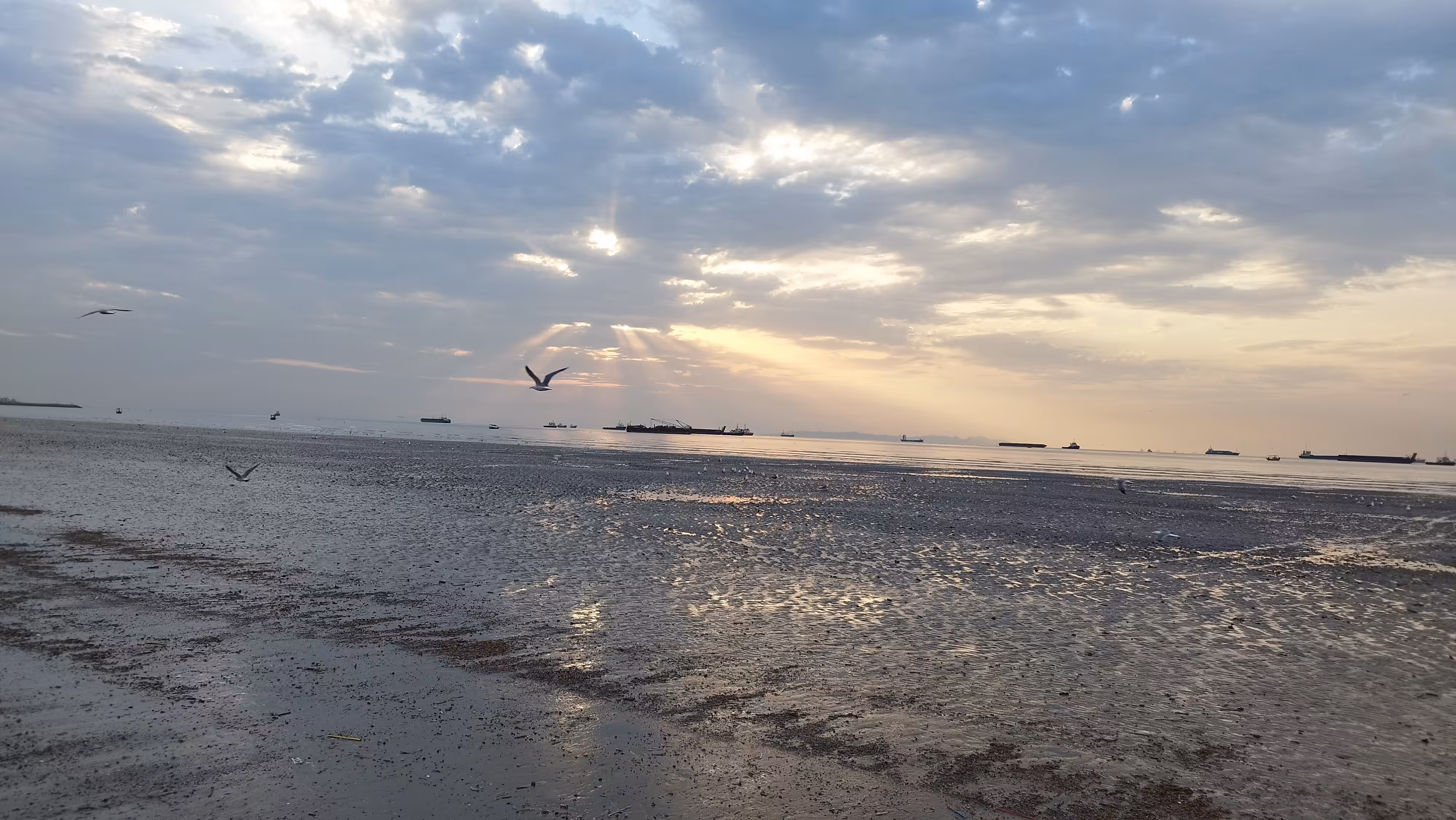 Daily  photography: In the morning 