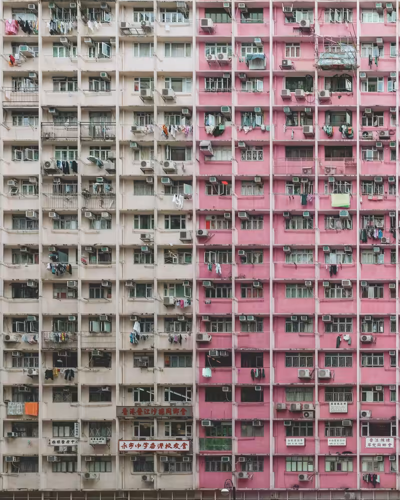 Pink and White