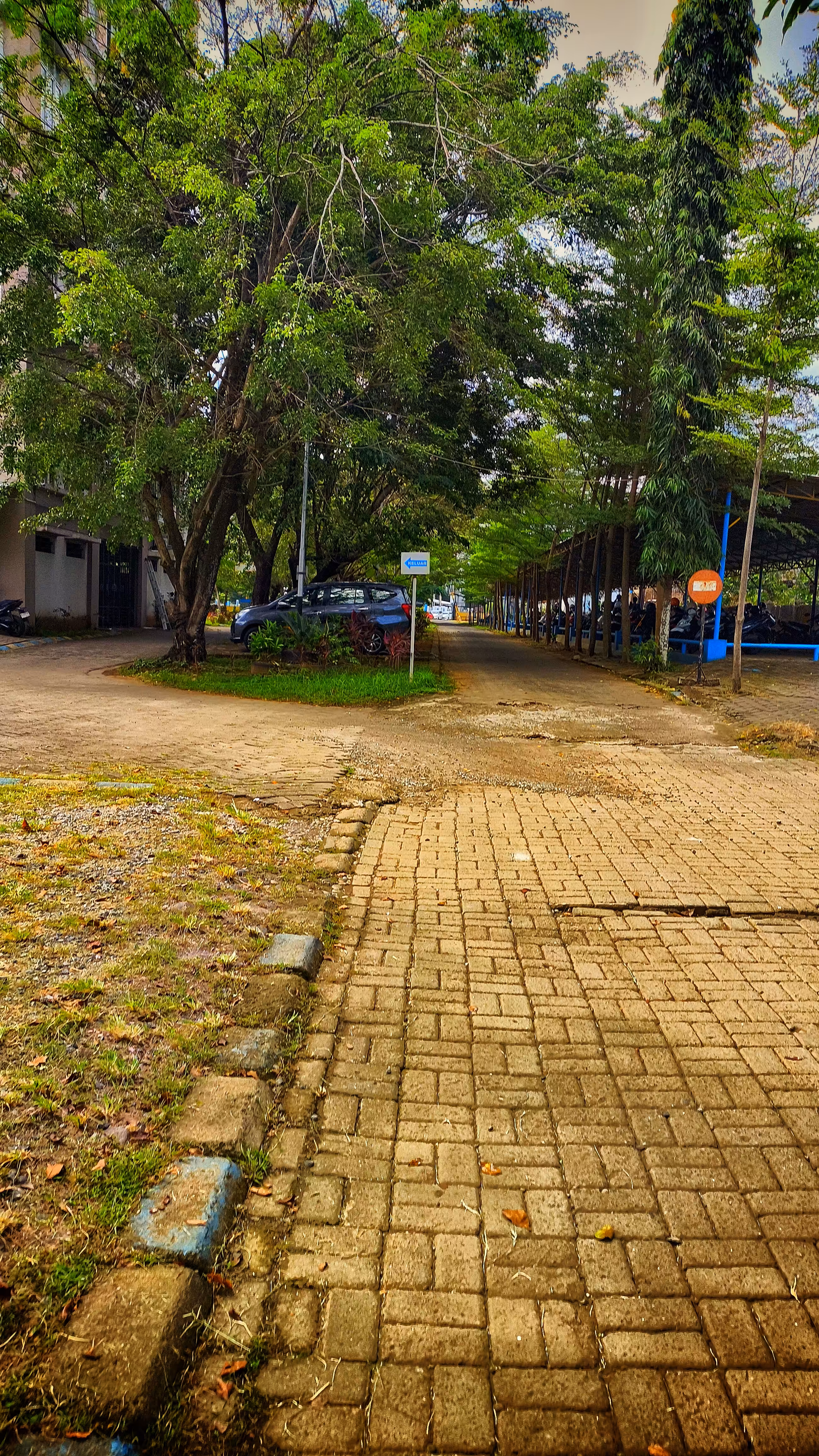 Where Quiet Roads Still Lead Somewhere